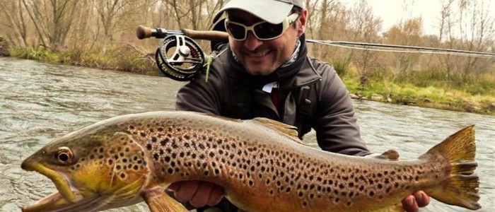LARGE TROUT IN RIVER SEGRE
