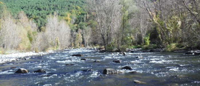 “The Feel of Fly Fishing” (Poem)