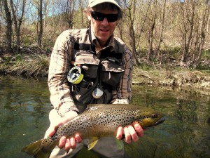 A brown trout fished with a dry fly