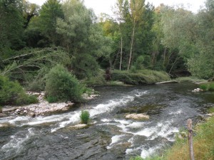 A beautiful stream in Ter River