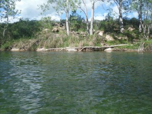 A very good pool in river Segre