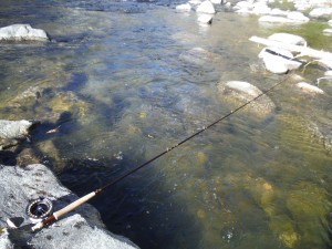 The Orvis Access 10" fly rod
