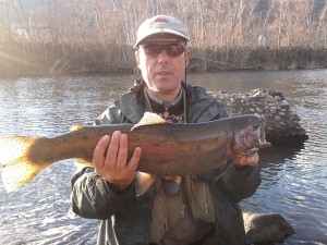 A large and fat rainbow fished with a phaisant tail