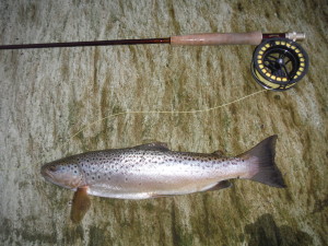 A good fish catched at long distance